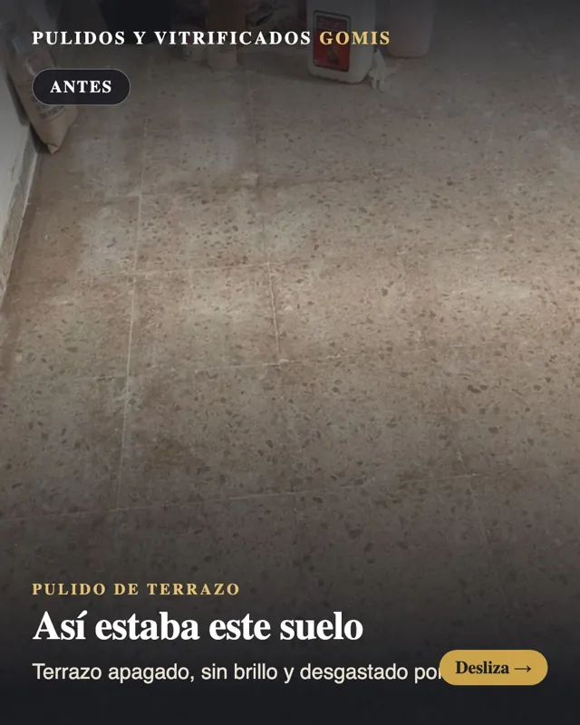 Before polishing — dull terrazzo floor